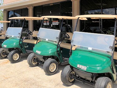 Cart Rentals